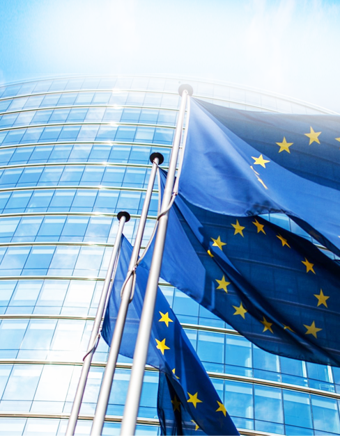 1.-dich-vu-minh-hoa-chau-au-2